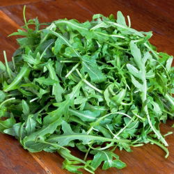 Rukola  - Eruca Sativa - NA TAŚMIE