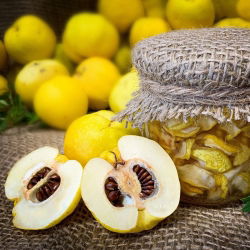 Pigwowiec - świeże owoce prosto z krzewu - 1 kg