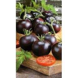 Pomidor Blackball - gruntowy
