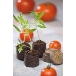 Pęczniejące krążki torfowe 27 mm - 1200 szt.