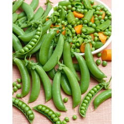 Groch Ambrosia cukrowy - 300 nasion