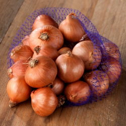 Cebula dymka - Red Sun - szalotka - 10 kg