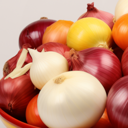 Cebula mieszanka odmian na taśmie