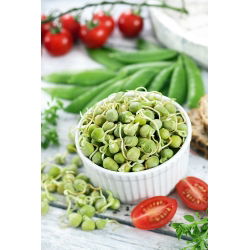 Nasiona na kiełki - Groch - 500 g