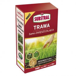 Trawa SAMOZAGĘSZCZAJĄCA - renowacyjna, do dosiewek - Substral - 1 kg