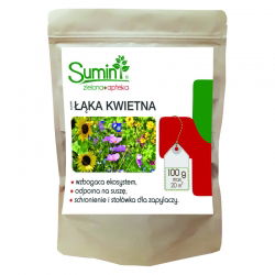 Łąka kwietna z ponad 20 rodzimych gatunków kwiatów - Sumin - 100 gram