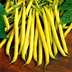 Nasiona fasoli i grochu - zestaw 4 odmian