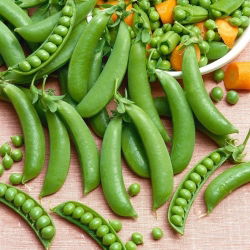 Nasiona fasoli i grochu - zestaw 4 odmian