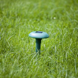 Solarny odstraszacz kretów, nornic i myszy - nawet na 650 m²