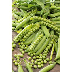 Groch Cud Kelvedonu - siewny, łuskowy - 500 g