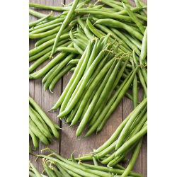 Fasola Ferrari - szparagowa, smaczna, odporna na choroby - 500 gram