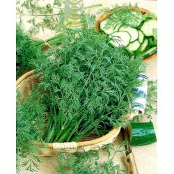 Koper ogrodowy Krezus - 100 gram