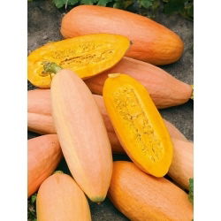 Dynia Pink Banana Jumbo