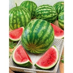 Arbuz Crimson Giant F1