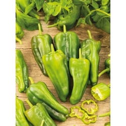 Papryka Padron - plenna, idealna do smażenia