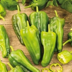 Papryka Padron - plenna, idealna do smażenia