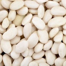 Fasola na suche nasiona karłowa IGOŁOMSKA - 500 g