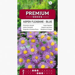 Przymiotno okazałe - niebieskie - 700 nasion