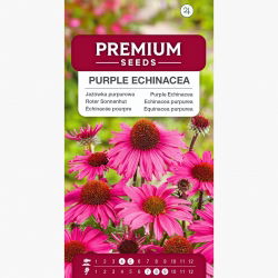 Jeżówka purpurowa - 230 nasion