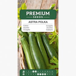 Cukinia Astra Polka - 21 nasion