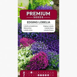 Lobelia przylądkowa - mieszanka kolorów - 6400 nasion