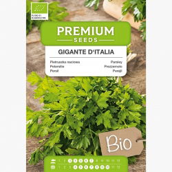 BIO Pietruszka naciowa - Gigante d'Italia - Certyfikowane nasiona ekologiczne - 1200 nasion
