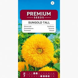 Słonecznik ozdobny wysoki – Sungold Tall - 80 nasion