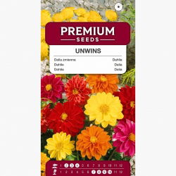 Dalia zmienna Unwins - 120 nasion