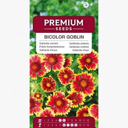 Gailardia oścista niska Bicolor Goblin - 150 nasion