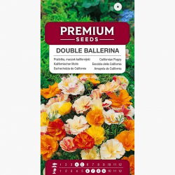 Pozłotka, eszolcja pełna Ballerina - mieszanka - 650 nasion