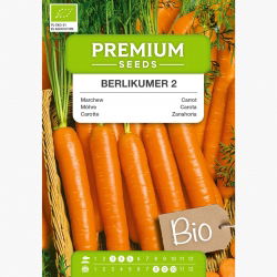 BIO Marchew Berlikumer - Certyfikowane nasiona ekologiczne - 4250 nasion