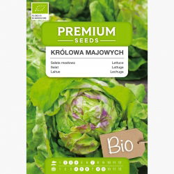 BIO Sałata masłowa Królowa Majowych - Certyfikowane nasiona ekologiczne - 450 nasion
