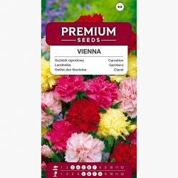 Goździk ogrodowy Wiedeński - mieszanka - 275 nasion