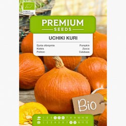 BIO Dynia olbrzymia Uchiki Kuri - Certyfikowane nasiona ekologiczne