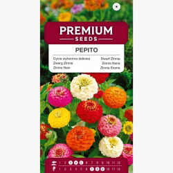 Cynia wytworna karłowa Pepito - mieszanka pełna