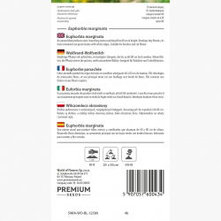 Wilczomlecz obrzeżony - 15 nasion