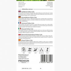 Słonecznik doniczkowy - 40 nasion