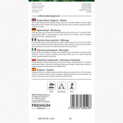Żmijowiec  babkowaty - kolorowa mieszanka - 250 nasion