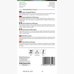 Dimorfoteka, Złotokwiat - kolorowa mieszanka - 450 nasion