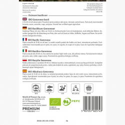 BIO Bazylia Italiano Classico - Certyfikowane nasiona ekologiczne - 325 nasion