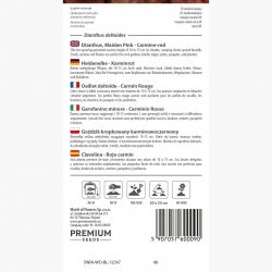 Goździk kropkowany karminowoczerwony
