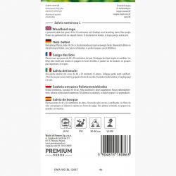Szałwia omszona fioletowoniebieska