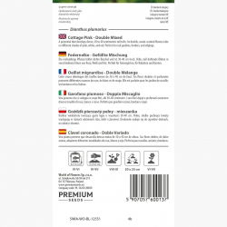 Goździk pierzasty pełny - mieszanka