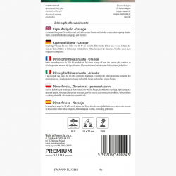 Dimorfoteka   - pomarańczowa
