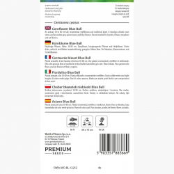 Chaber bławatek niebieski - klasyczny