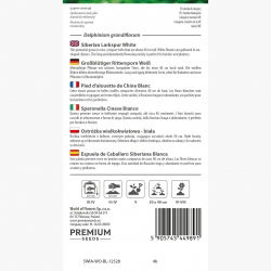 Ostróżka wielkokwiatowa - biała