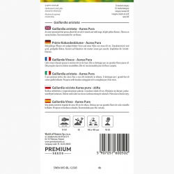 Gailardia oścista Aurea pura - żółta