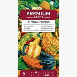 Dynia dekoracyjna - Autumn Wings - 22 nasiona