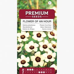 Ketmia południowa - 220 nasion