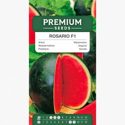 Kawon, arbuz – Rosario F1 - 11 nasion